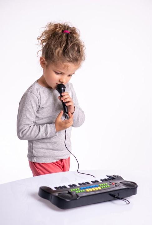 Actual product image Boogie Bee Electronic Keyboard with Microphone (German, French, Italian, English)
