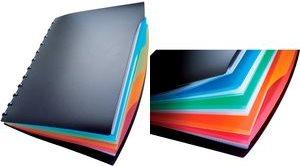 Produktbild Durable DURALOOK STYLE 1 ST 243501 (A4, 1x)