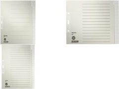 Actual product image Leitz Dewing paper register, blank, A4, 20 pieces, grey 100 gsm, perforation: 80 mm, with hole