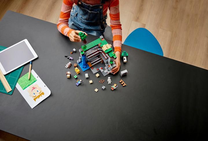 Produktbild LEGO Das erste Abenteuer (21169, LEGO Minecraft)