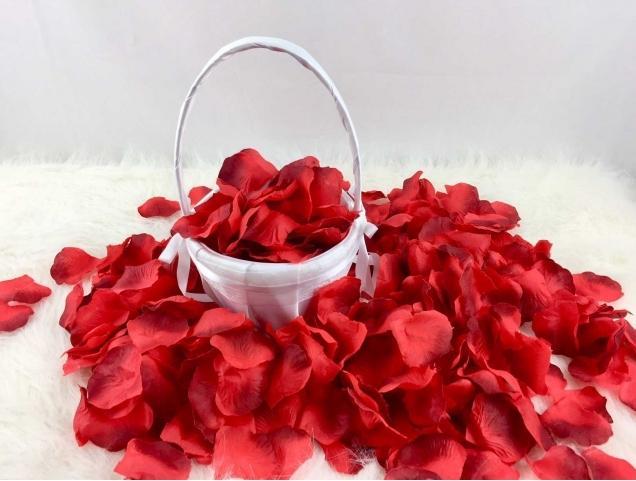 Image du produit Partydeco Roses à bord sombre (500 pcs)