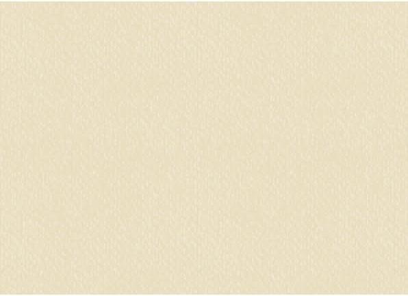Actual product image Heyda Universal cardboard 220g/sqm 50x70cm chamois (220 g/m², 1 x)