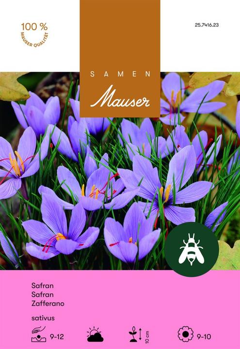 Samen Mauser Crocus sativus Safran, 10 Knollen (Pflanzensamen)