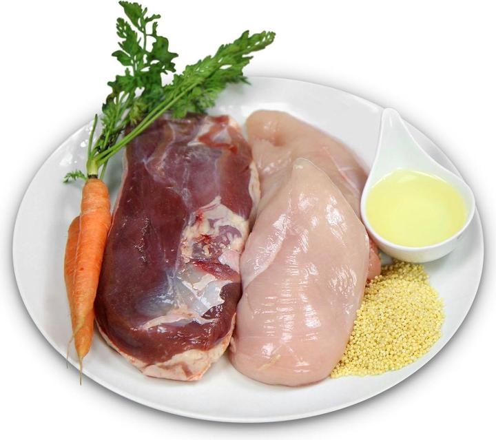 Produktbild Mjamjam Hunde-Nassfutter (Adult, 1 Stk., 450 g)