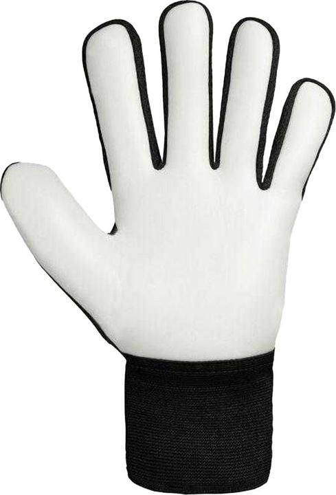 Produktbild Reusch Attrakt Starter Solid TorhüterHandschuhe (9)