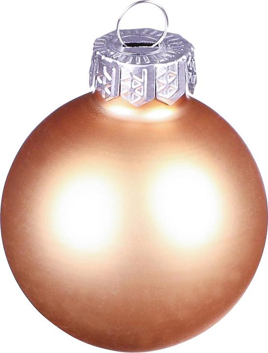 Apricot, Rosa