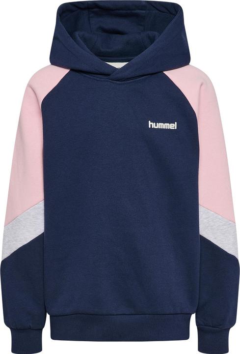 Produktbild hummel Hmljr Loose Blocked Hoodie (104)