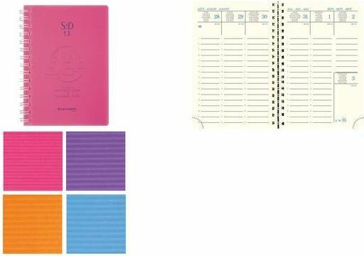 Actual product image Exacompta Pocket Agenda SAD 13W Linicolor (9 x 13 cm, 1 week / 1 page)