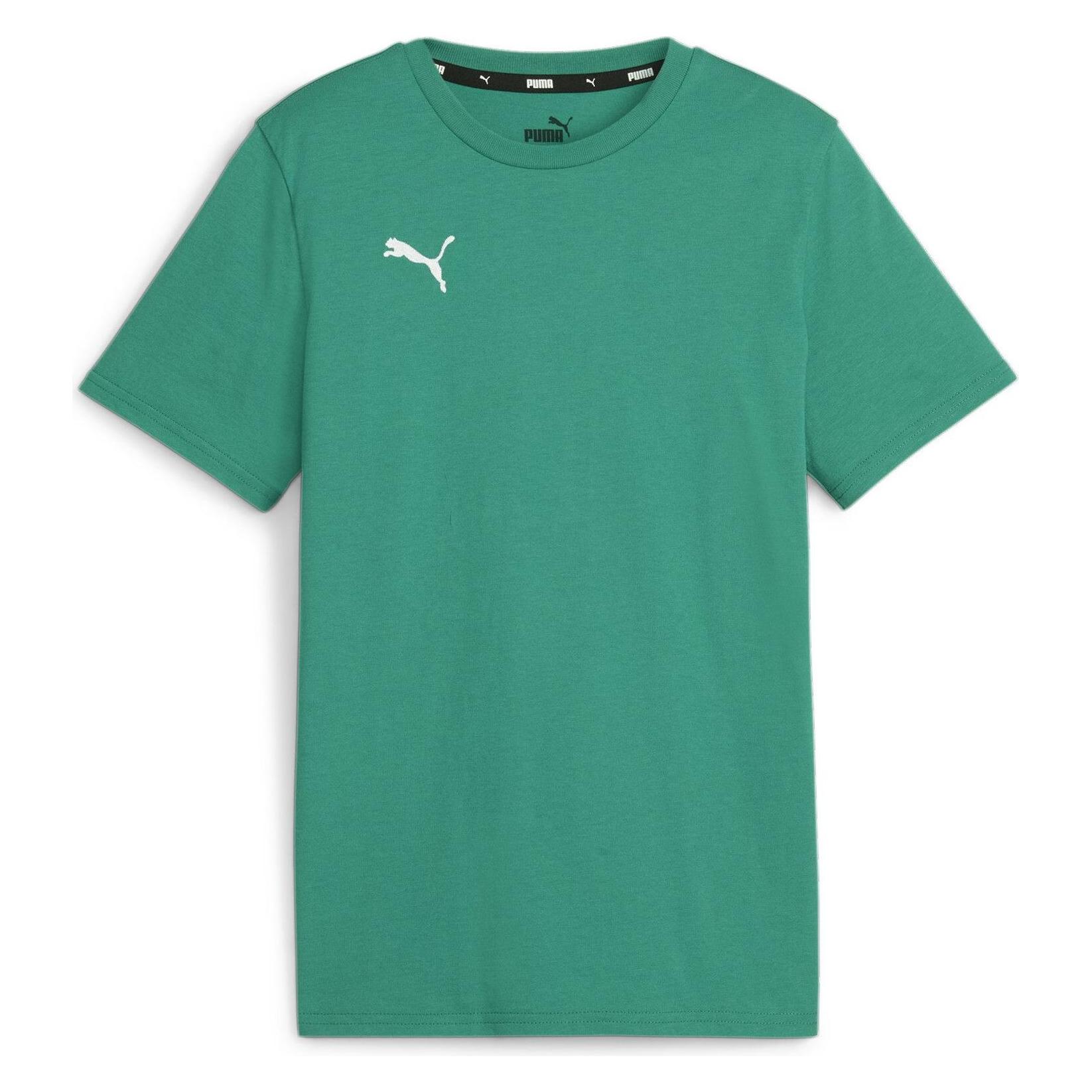 Puma, Jungen, Sportshirt, TeamGOAL Casuals Tee Jr (164), Grün, 164