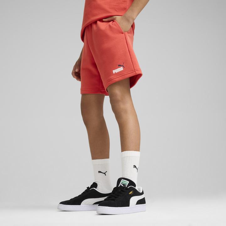 Actual product image Puma ESS 2 COLOR No. 1 Logo Shorts TR B (176)