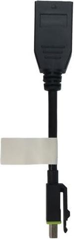 Actual product image PNY Mini DisplayPort - DisplayPort (0.10 m, DisplayPort)
