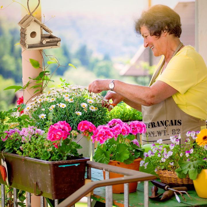 Image du produit Relaxdays Dekoratives