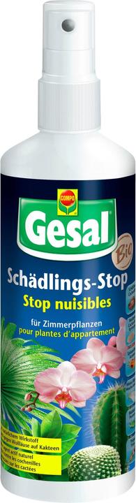 Gesal Schädlings-Stop für Zimmerpflanzen (Aphids)