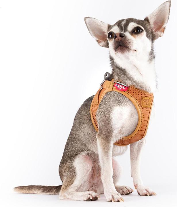 Productafbeelding Curli Harnas Appelleder, 2XS, Bruin (XXS, Hond, Algemeen)