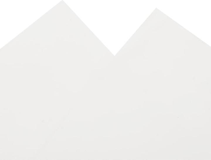 Image du produit vidaXL Bâche de couverture 600 g/m (500 x 700 cm)