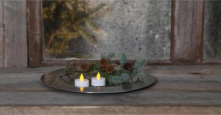 Actual product image Star Trading Paulo (2 x)