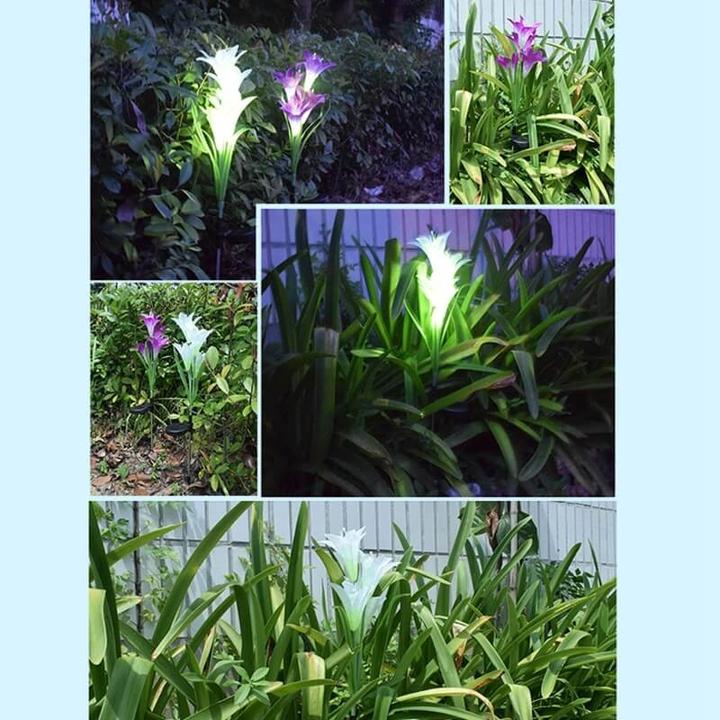 Produktbild Cover-Discount Solar LED Gartenstecker Lilie violett (IP55)