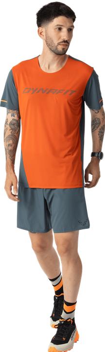 Produktbild Dynafit Alpine Shorts (46, S)