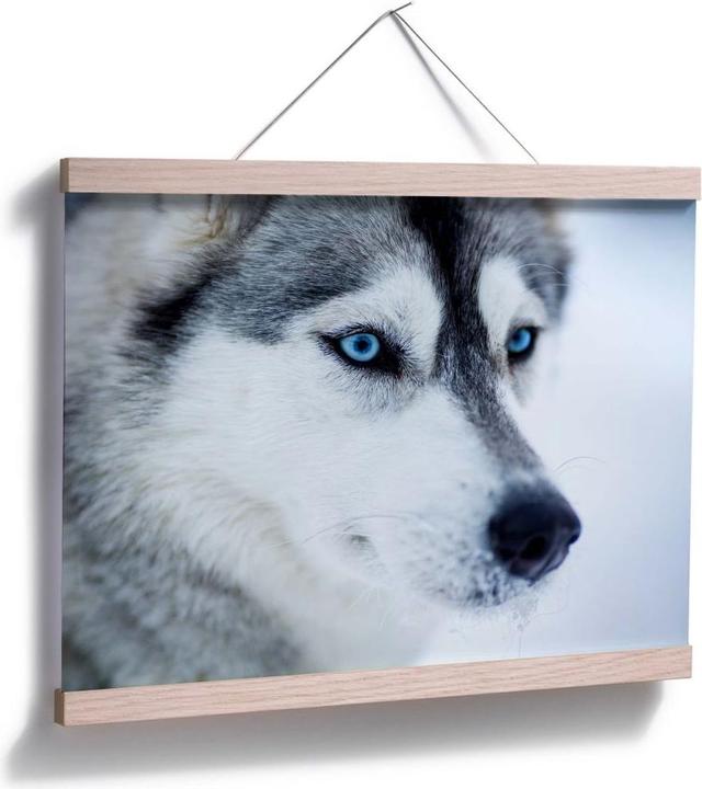 Image du produit Trenddeko Des yeux bleus glacés (80 x 60 cm)