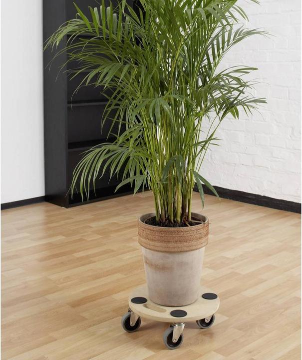 Produktbild Meister Transportroller Holz Traglast (150 kg)