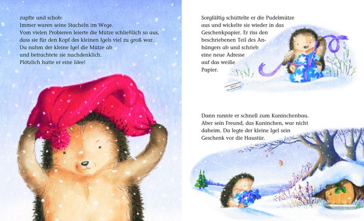 Produktbild Brunnen Der kleine Igel und die rote Mütze (Deutsch, M. Christina Butler, 2017)