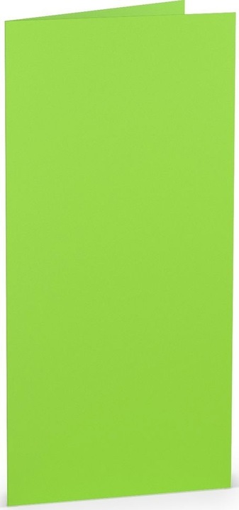 Rössler Coloretti Karten DIN lang Hellgrün im 5er Pack zum Selbstgestalten (5 Stk.)