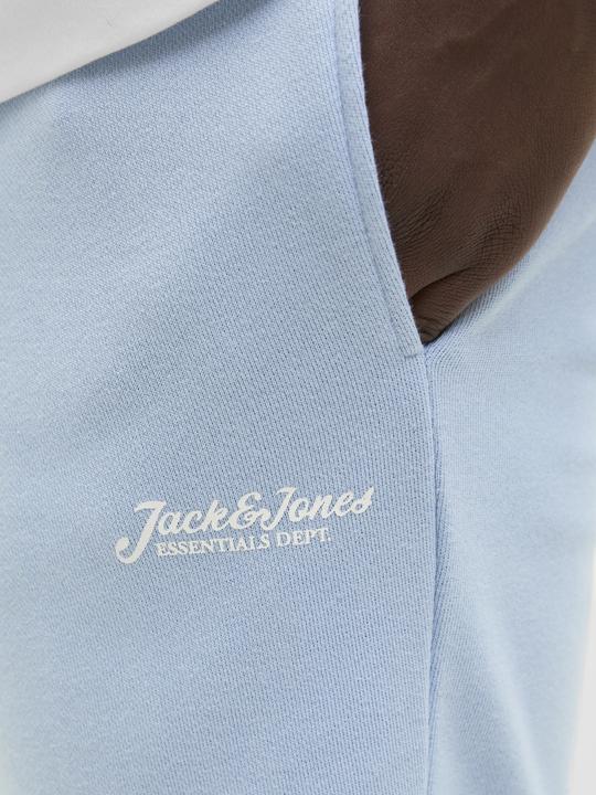 Produktbild Jack & Jones Regular Fit Shorts Shorts (XL)