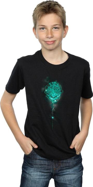 Produktbild Hogwarts Crest Mist TShirt Jungen (116)