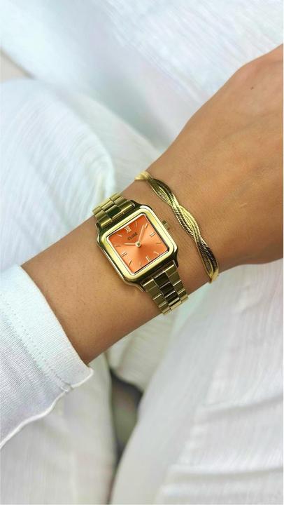 Immagine prodotto Cluse Gracieuse Petite (Orologio da polso analogico, 24 mm)