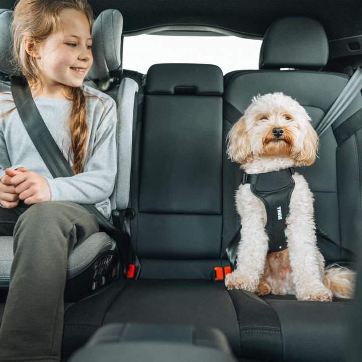 Image du produit Thule Cappy (Chien, Lavable, Respirant)
