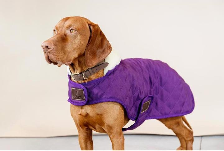 Actual product image Kentucky Dogwear Dog Coat Original (XXS, Dog coat)