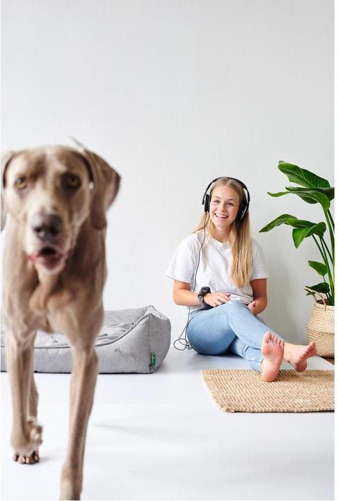 Actual product image Hunter Eiby (Dog)