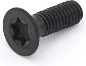 Actual product image 77designz Ti Bolt M4x12