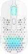 Produktbild CHERRY xtrfy M42 Wireless Gaming Maus, RGB (Kabellos)