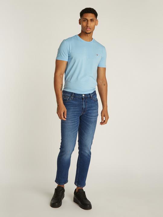 Productafbeelding Tommy Jeans DAD JEAN RGLR TPRD AI5157 (W28/L32)