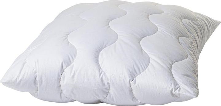 Actual product image Duvetsuisse All in One Flexi Premium (50 x 80 cm)