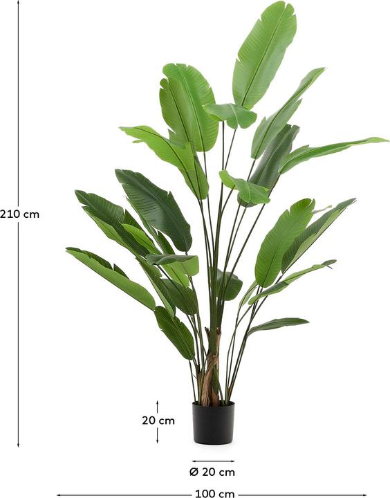 Immagine prodotto Kave Home Banano (210 cm)