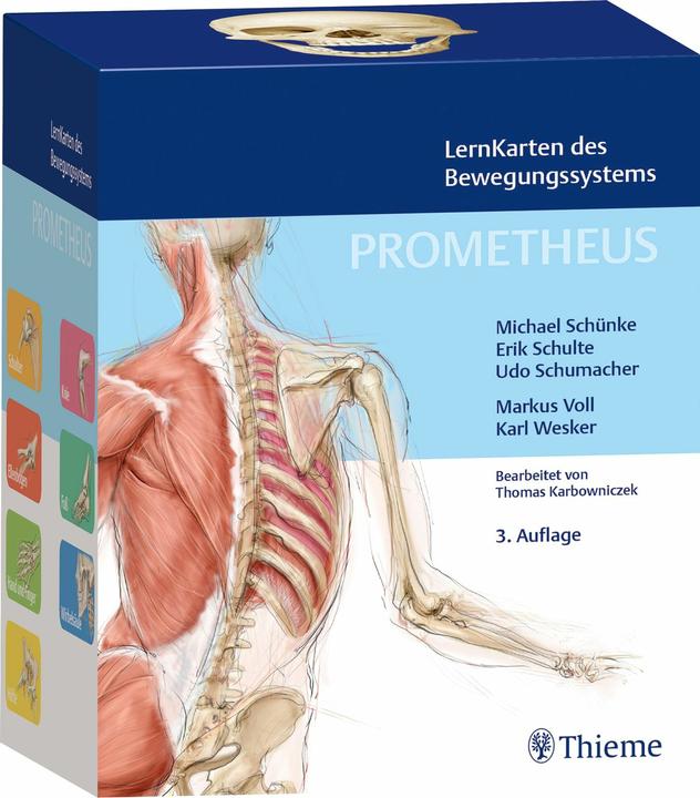 Actual product image PROMETHEUS LernKarten des Bewegungssystems (German, Erik Schulte, Udo Schumacher, Michael Schünke, 2024)