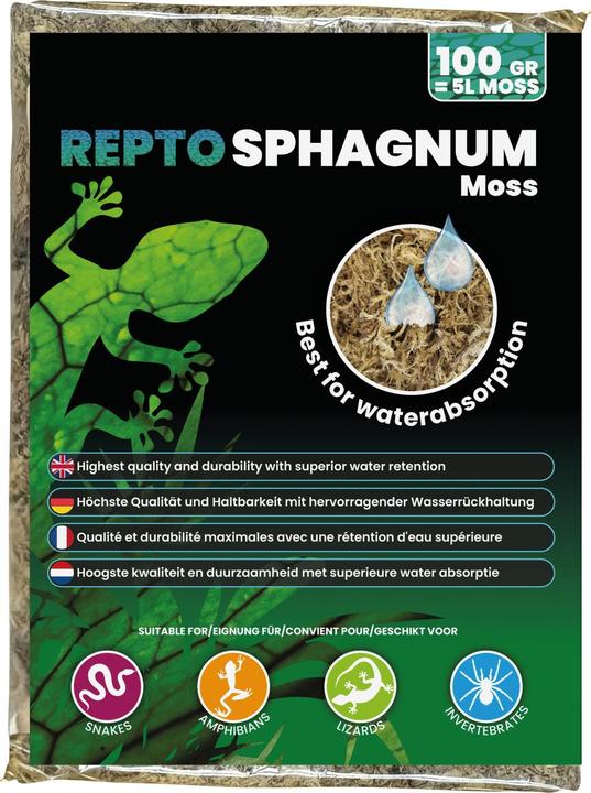 Repto Plant Sphagnum Moss