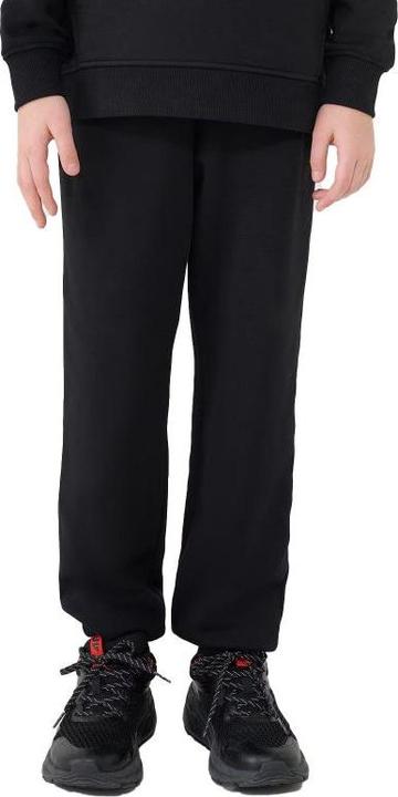 Immagine prodotto 4F Junior-Hosen (152)