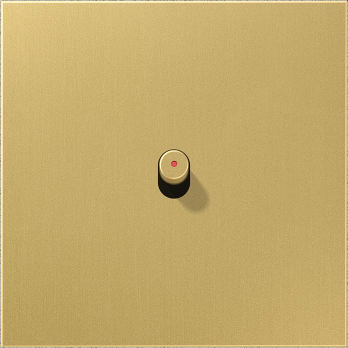 Image du produit JUNG Interrupteur à manette LS 1912 ms mt sortie de lumière ME12-0KOCR25