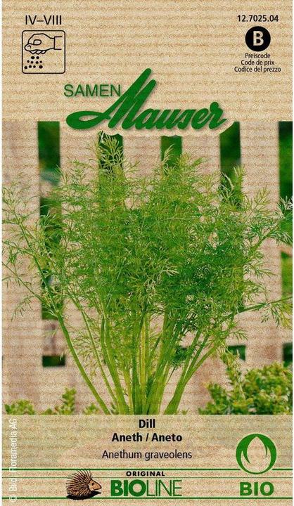 Samen Mauser Bio Dill (Kräutersamen)