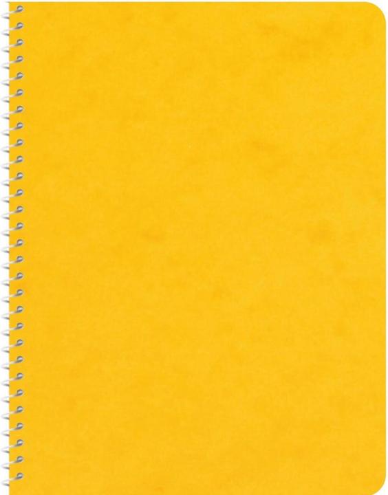 Image du produit Novooo Spiralheft assortiert (Quadrillé, Couverture souple)