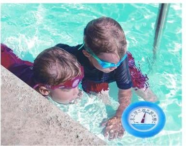 Actual product image TFA Poolwatch