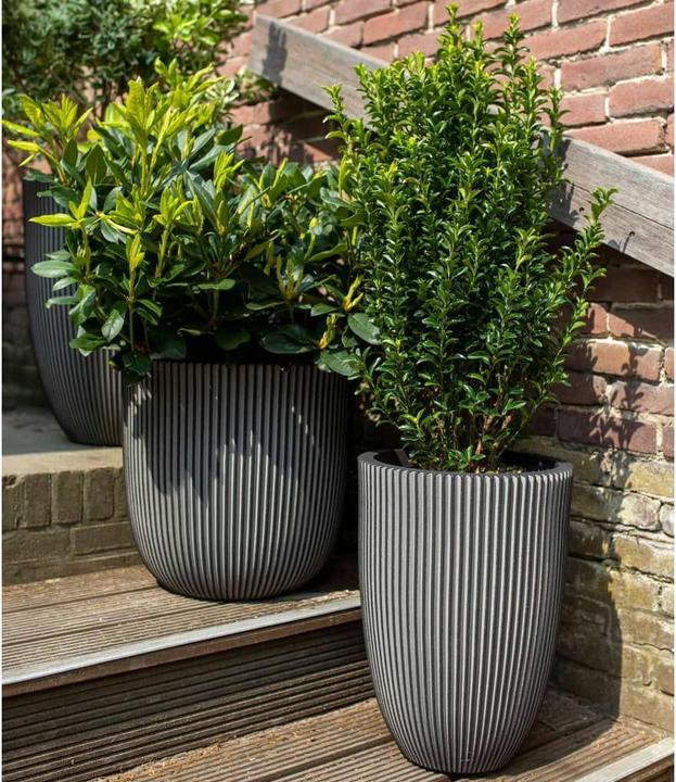 Produktbild Capi Tripp (46 x 58 cm)