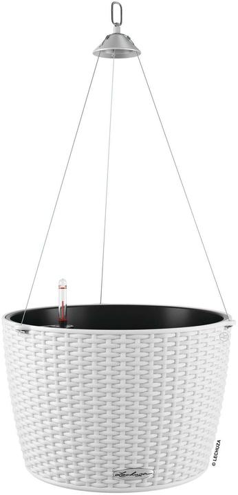 Image du produit Lechuza Nagendra (35 x 23 cm)