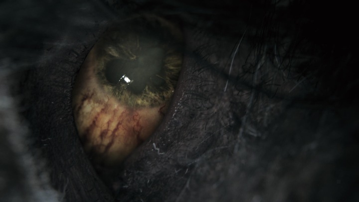 Image du produit Sony Fromsoftware Bloodborne: Game Of The Year (PS4, EN)