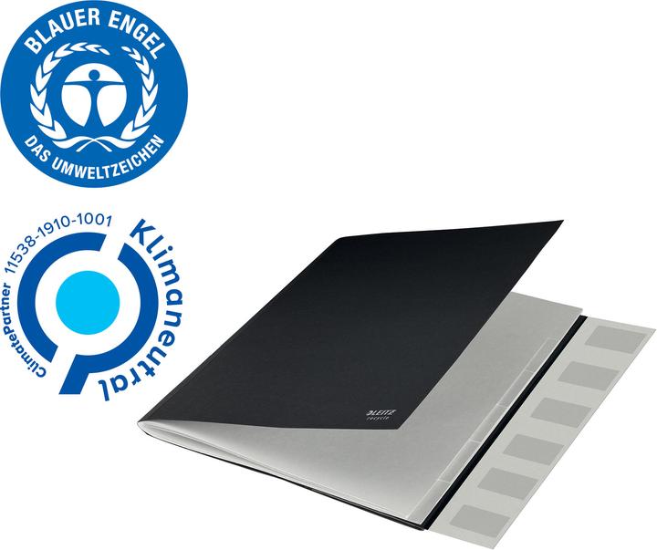 Actual product image Leitz Folder (A4, 1 x)
