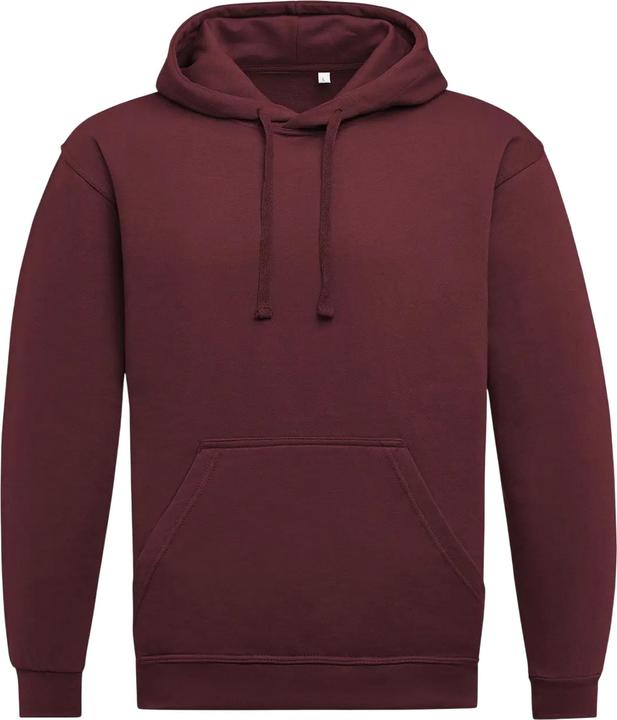 Produktbild Sg Kapuzenpullover (3XL)