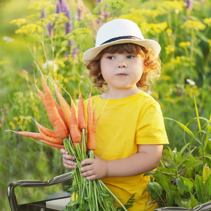Image du produit Relaxdays Genouillère